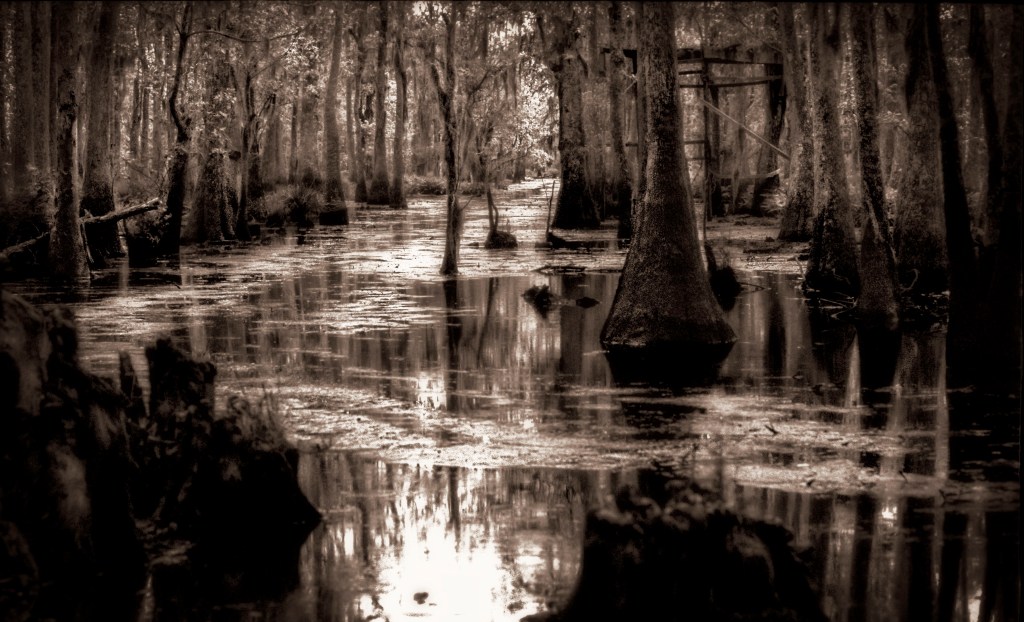 BAYOU ROAD